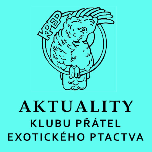Ohlédnutí za světovým šampionátem v Portugalsku