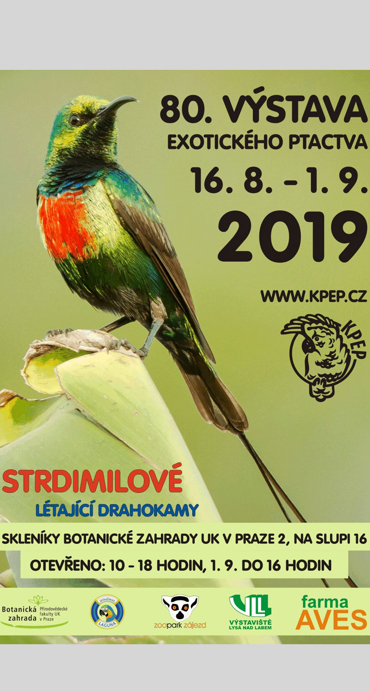 80. propagační výstava exotického ptactva KPEP