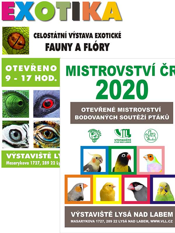 Otevřené mistrovství ČR 2020