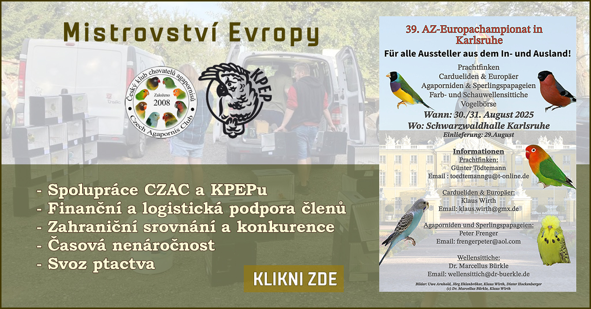 39. AZ-Evropský šampionát